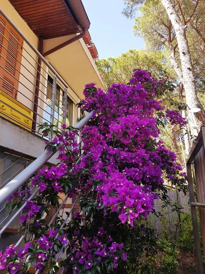 Lara Elite Apartment Castiglione della Pescaia