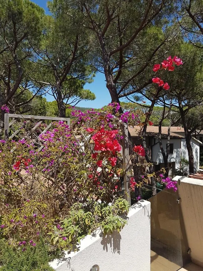 Lara Elite Apartment Castiglione della Pescaia